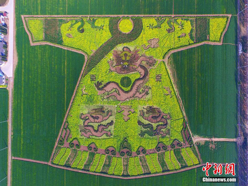 Нанкинские крестьяне засадили поле в виде "парадного платья императора"