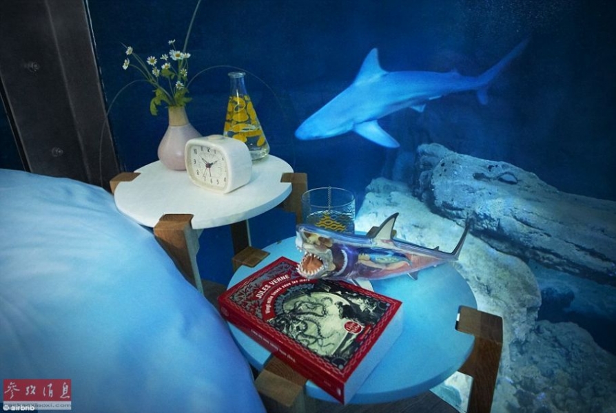 Парижский аквариум открыл для посетителей подводную комнату с акулами