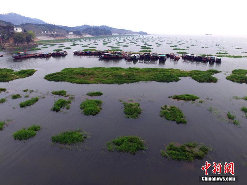 Уровень воды озера Поянху быстро поднимается