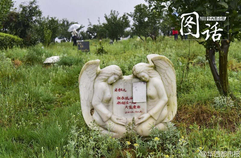 Кладбище домашних животных в Чэнду: самая высокая цена на захоронение - 12 тысяч юаней