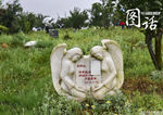 Кладбище домашних животных в Чэнду: самая высокая цена на захоронение - 12 тысяч юаней