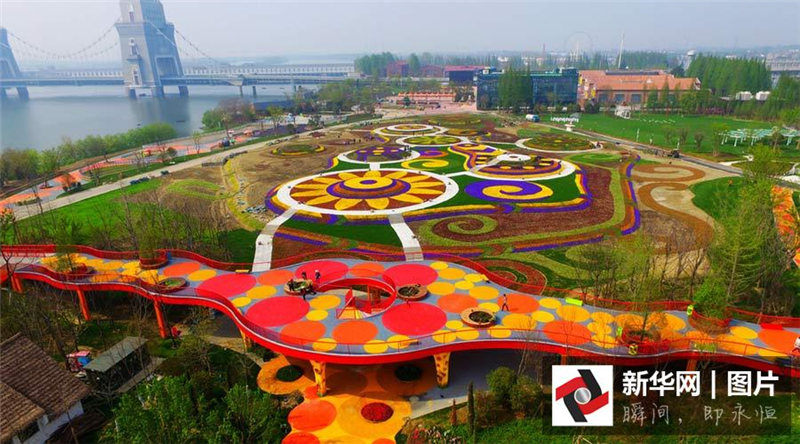 Причудливые цветочные поля в Янчжоу с высоты птичьего полета