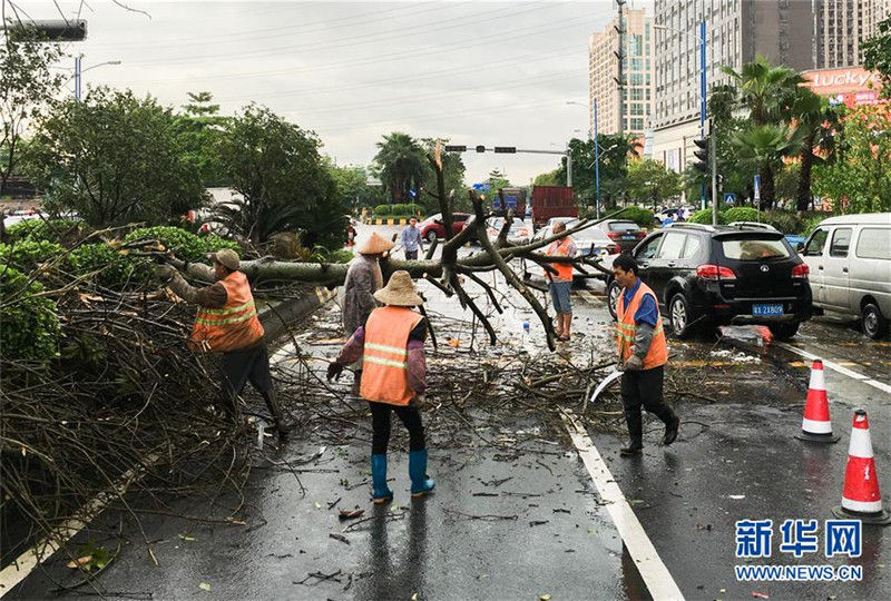 От бури в китайском городе Фошань пострадало 23 человека, деревья были вырваны с корнем
