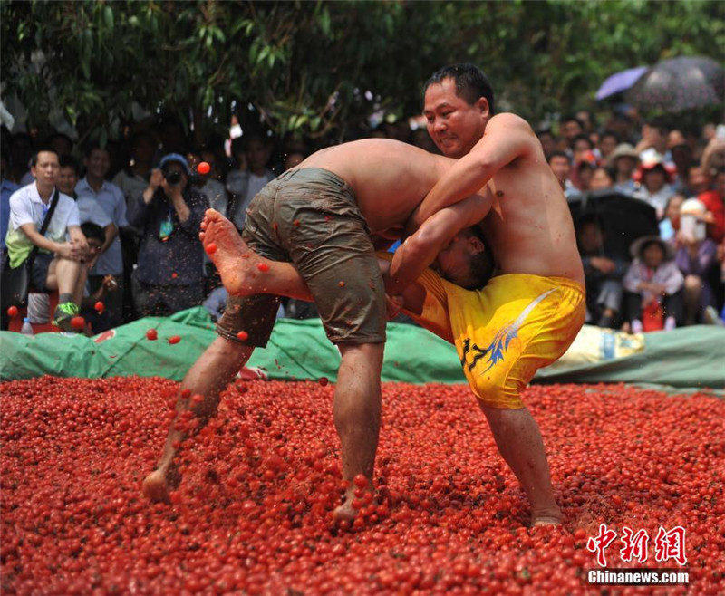 Люди народности Чжуан провели состязание в бассейне, наполненном помидорами черри