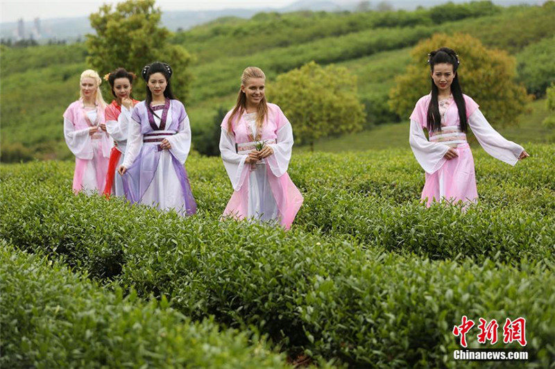 Девушки продефилировали в традиционных платьях на чайной плантации 