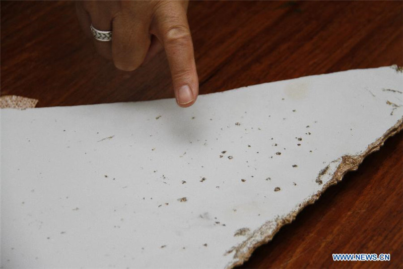 Обломки, обнаруженные на побережье Мозамбика, принадлежат пропавшему авиалайнеру МН370 -- доклад Австралии