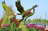 В Таншане стартовала Всемирная выставка садово-паркового искусства