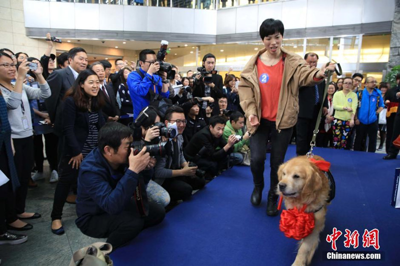Церемония "выхода на пенсию" служебных собак прошла в Шанхае