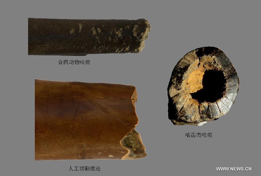 В Китае названы десять важнейших археологических находок 2015 года