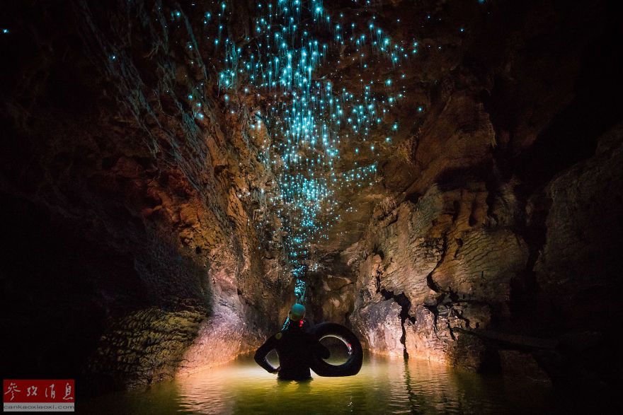 Настоящая Пандора. Британский фотограф показал светящиеся пещеры Ваймото в серии снимков