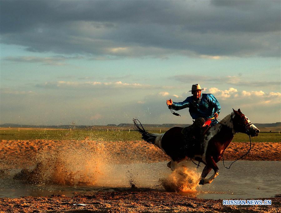 "Фотографический Наадам" в "столице коневодства" во Внутренней Монголии