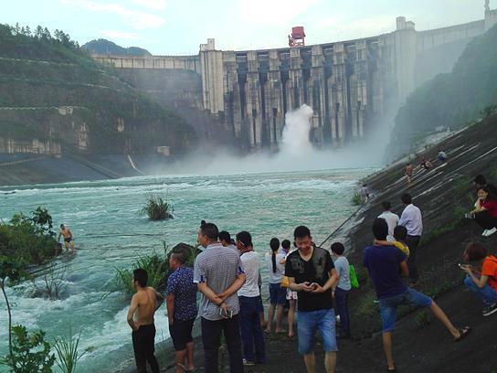 Рыбам оторвало головы в результате сброса воды на китайской ГЭС
