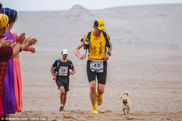Бродячая собака следовала за марафонцем по всему маршруту в Китае