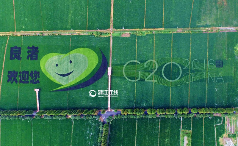 "Смайлик" на рисовом поле в Ханчжоу для встречи саммита G20