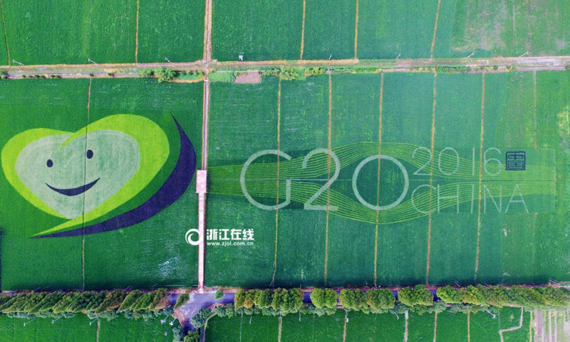 "Смайлик" на рисовом поле в Ханчжоу для встречи саммита G20