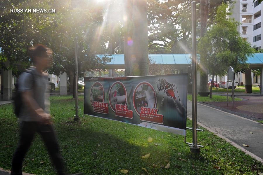 Минздрав Сингапура сообщил о 41 случае заражения вирусом Зика