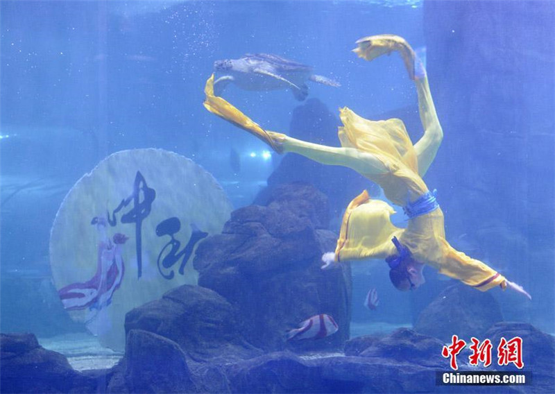 Российская синхронистка выступила с подводным танцем «Полет "Чанъэ" к Луне»