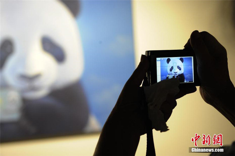 Первая всемирная художественная выставка на тему панд стартовала в Китае