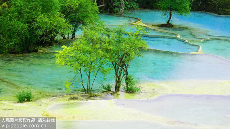 Рай на земле – разноцветные озера Хуанлун