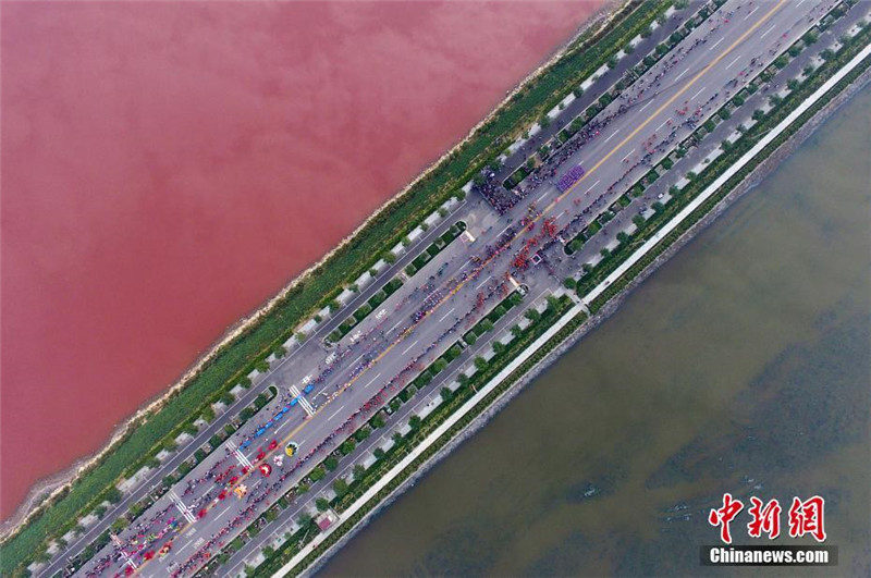 Китайское соляное озеро окрасилось в розовый цвет