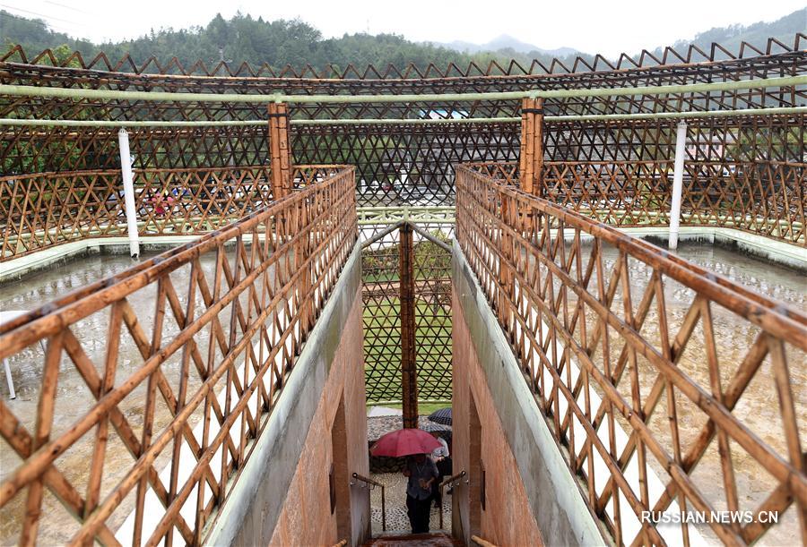 Биеннале бамбуковой архитектуры открылась в провинции Чжэцзян