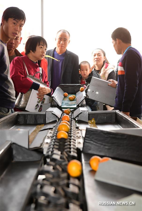 Открытие 23-й Китайской ярмарки высокотехнологичных достижений в сфере сельского хозяйства в Янлине