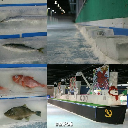 Каток с замороженными рыбами подвергся критике посетителей