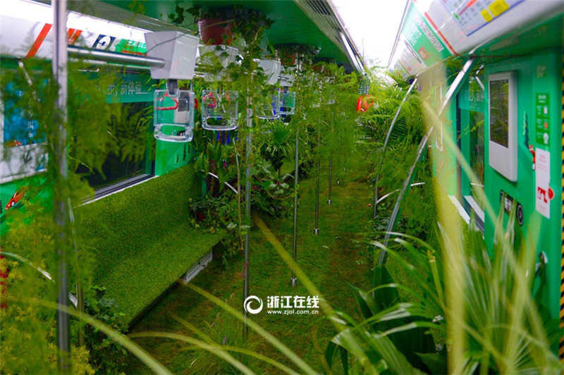 По метро города Ханчжоу ездили «зеленые» поезда 