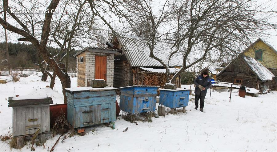 Зимняя жизнь в белорусской деревне