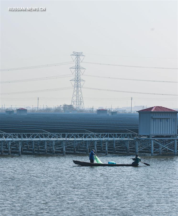 Солнечная энергетика в рыболовецких районах провинции Чжэцзян