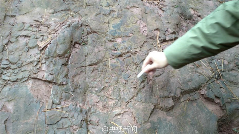 В Гуйчжоу найдены следы четырех динозавров Юрского периода