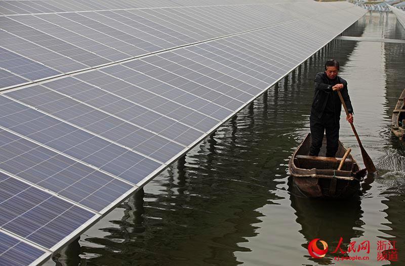 Крупнейший в Китае проект взаимодействия рыбного хозяйства и фотоэлектрической энергии запущен в провинции Чжэцзян