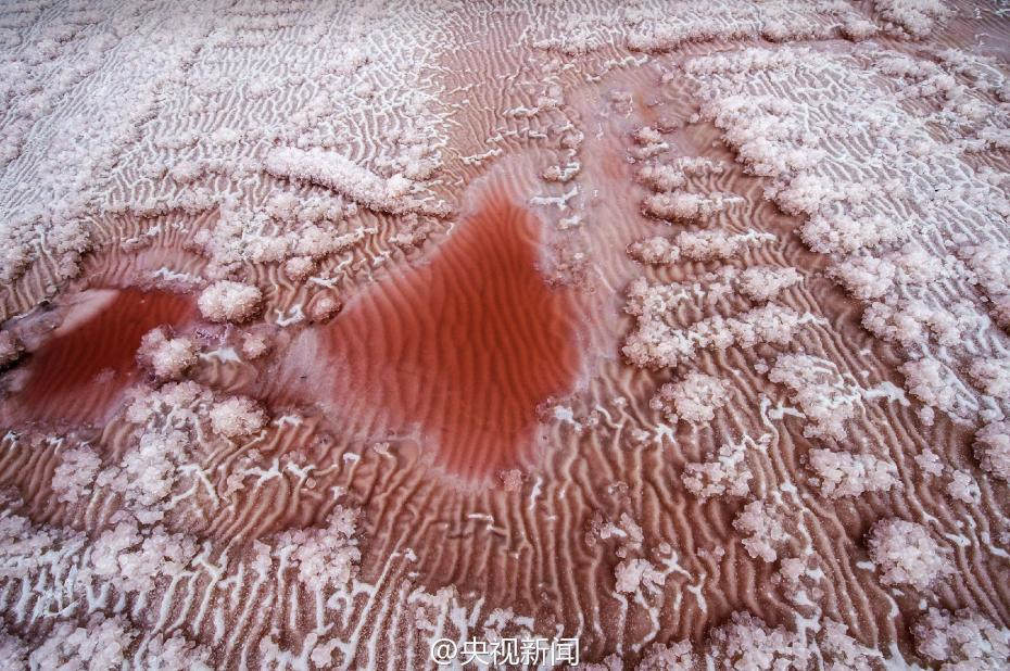 "Розовая пустыня" появилась в солевом озере провинции Шаньси