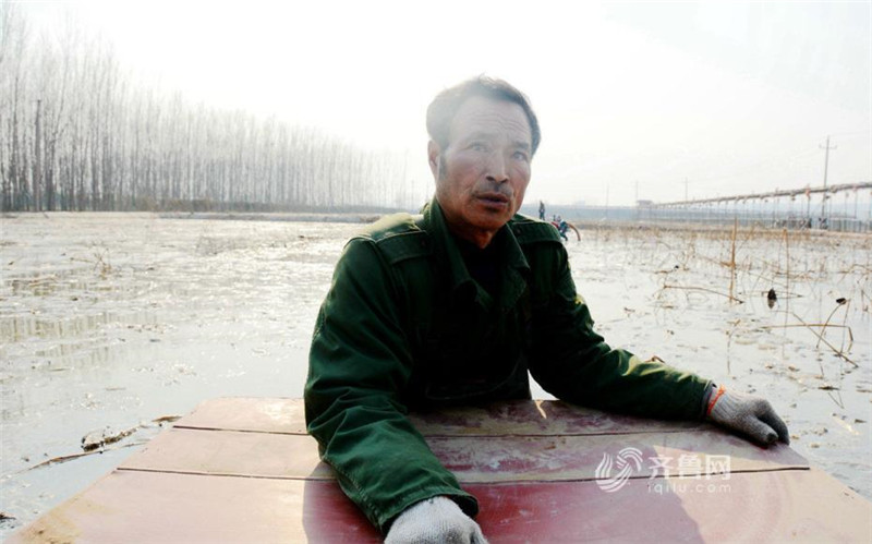Крестьяне зарабатывают 10.000 юаней в месяц выкапывая клубни лотоса