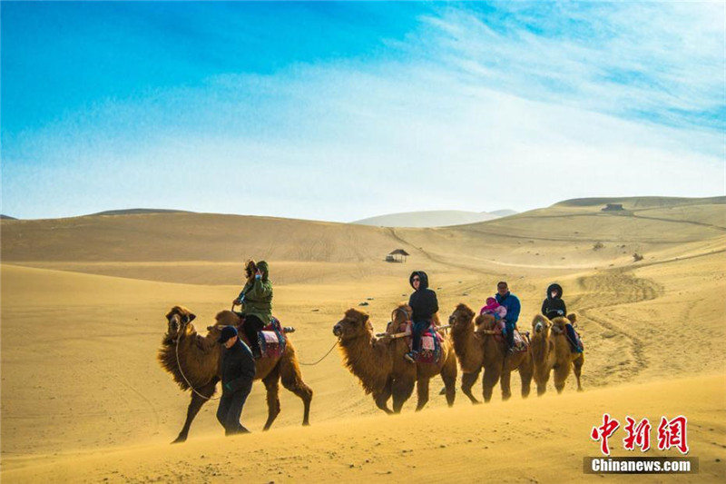Десять тысяч туристов отметили Праздник Весны в пустыне