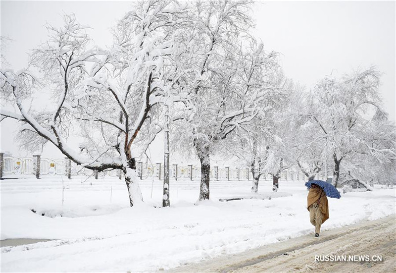 Из-за экстремальных холодов в Афганистане погибли по меньшей мере 42 человека