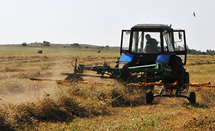 Мобилизация отечественного сельского хозяйства в России влияет на турецких фермеров