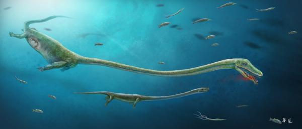 Китайские учёные нашли окаменелые останки беременной самки динозавра