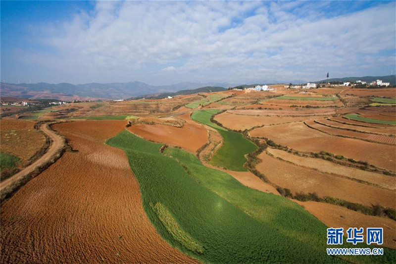 Чудесные Красные земли в провинции Юньнань