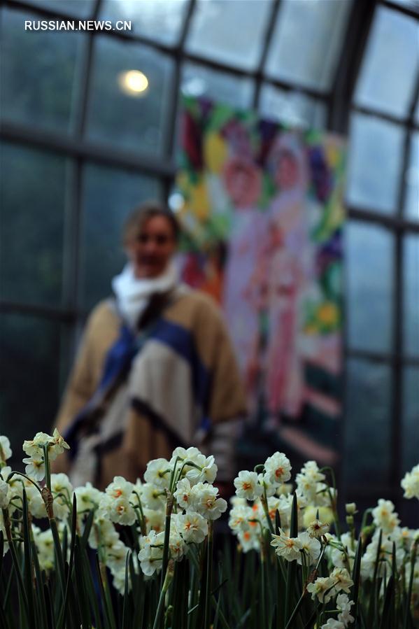 Выставка цветов во Франкфурте-на-Майне