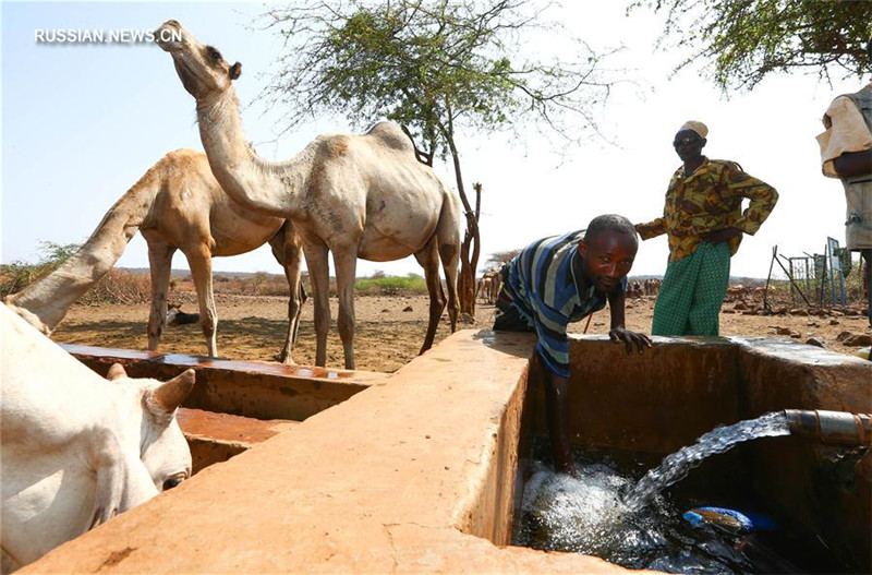 ООН призывает мировое сообщество помочь Кении в преодолении последствий засухи