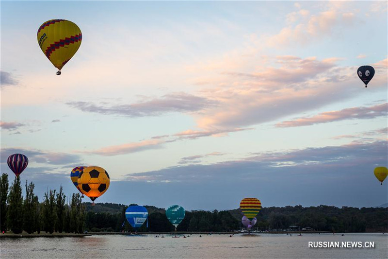 Шоу воздушных шаров в Канберре