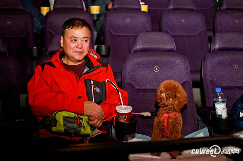50 собак и их хозяева посмотрели фильм в сианьском кинотеатре