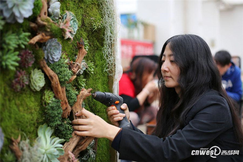 Китайская девушка создала картину из комнатных растений