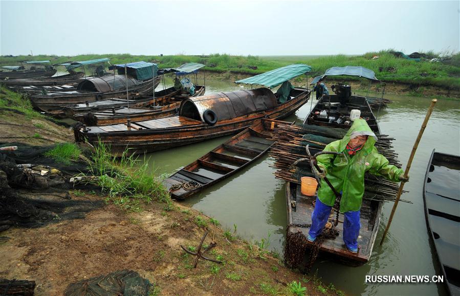 На крупнейшем в Китае пресноводном озере вводится трехмесячный запрет на отлов рыбы