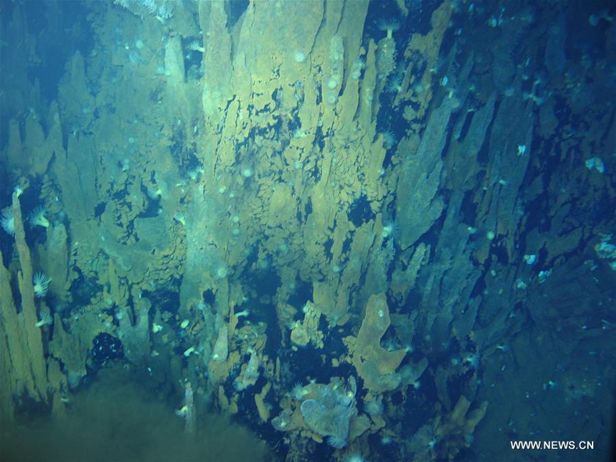 Батискаф "Цзяолун" обследовал группу гидротермальных источников на дне Индийского океана