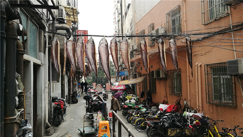 10 января 2017 года, улочки, не далеко от старого города, сушиться рыба.☺