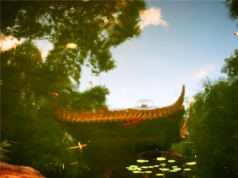 Название снимка: Загадочный КитайДата съемки: 16 сентября 2011 г.Место съемки: ГуанчжоуИстория: Павильоны, крыши, пруды, тропинки, отражения - в любом парке Китая можно остаться надолго, особенно если с тобой фотоаппарат 