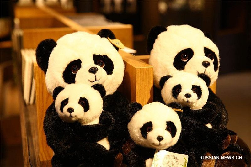 Зоопарк в Нидерландах с нетерпением ждет прибытия больших панд из Китая
