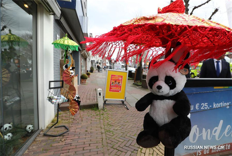 В нидерландском городе Ренен - бум больших панд